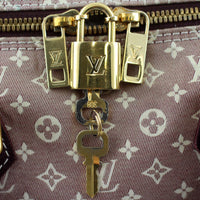Louis Vuitton Encre Monogram Idylle Speedy 30 Bandouliere Hardware
