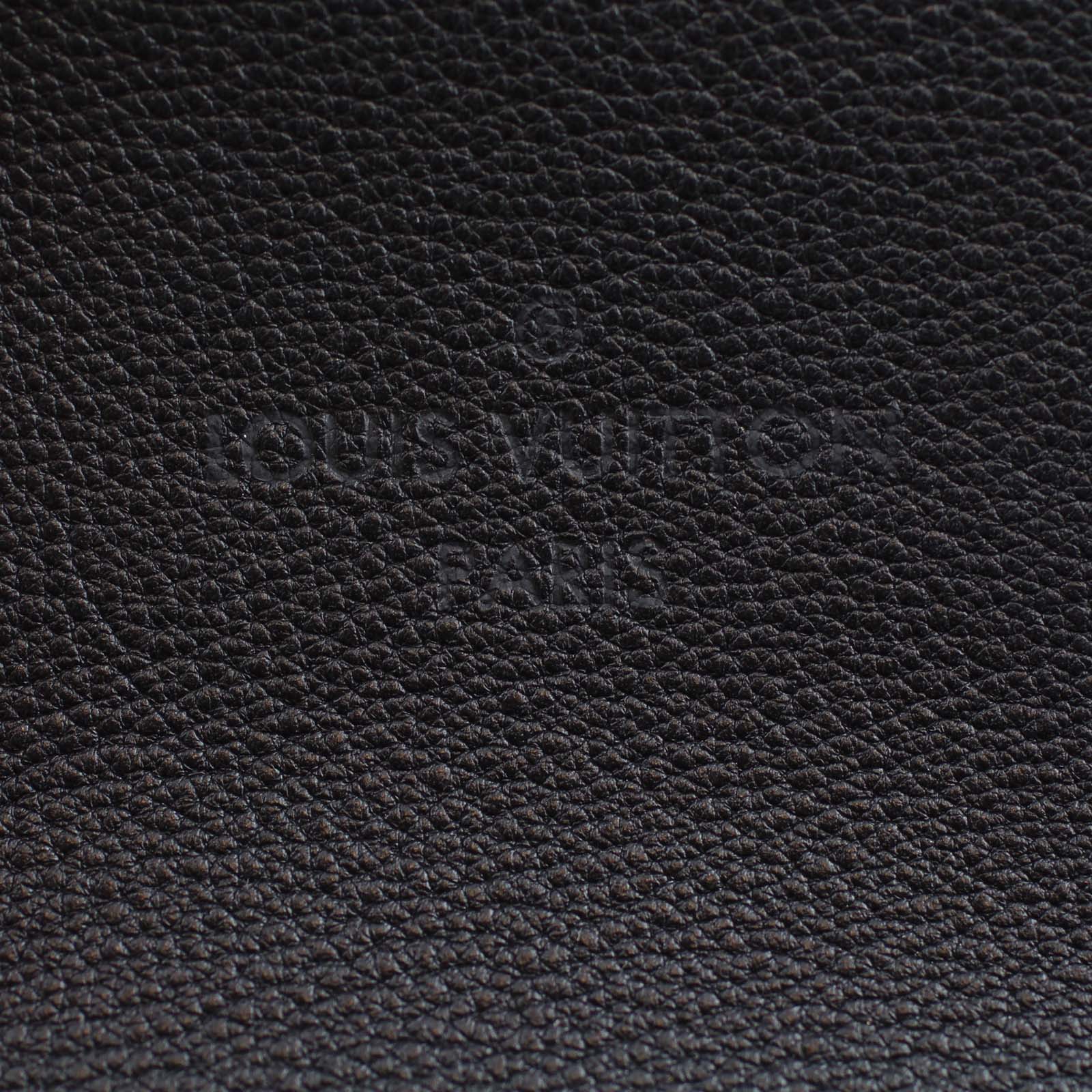 Louis Vuitton Veau Cashemire W Tote PM Stamp