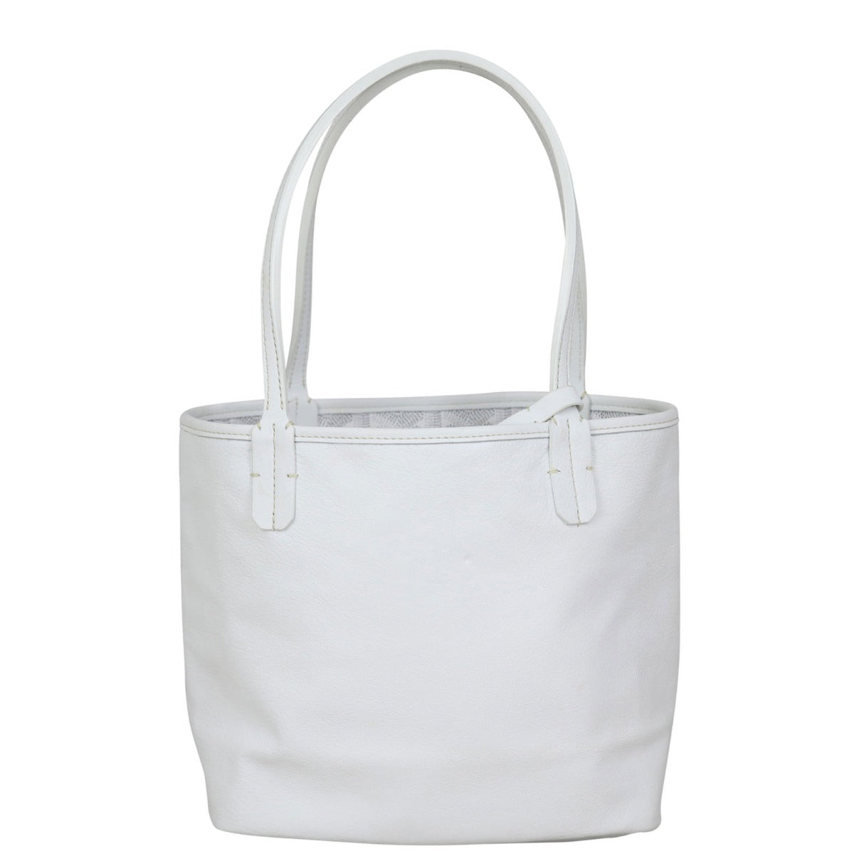 Goyard Anjou Mini Bag (white) Back