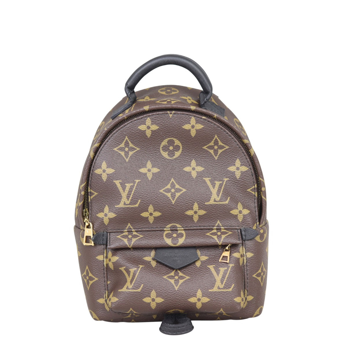 Louis Vuitton Palm Springs Mini Backpack Monogram Front