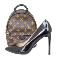 Louis Vuitton Palm Springs Mini Backpack Monogram Shoe