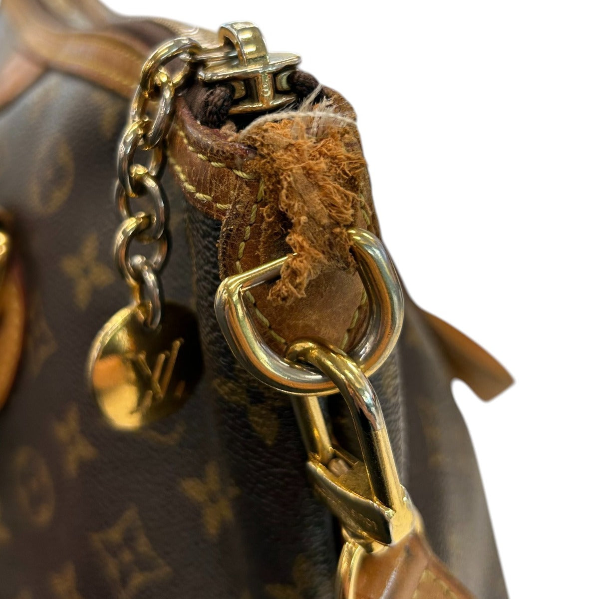 Louis Vuitton Palermo PM Monogram