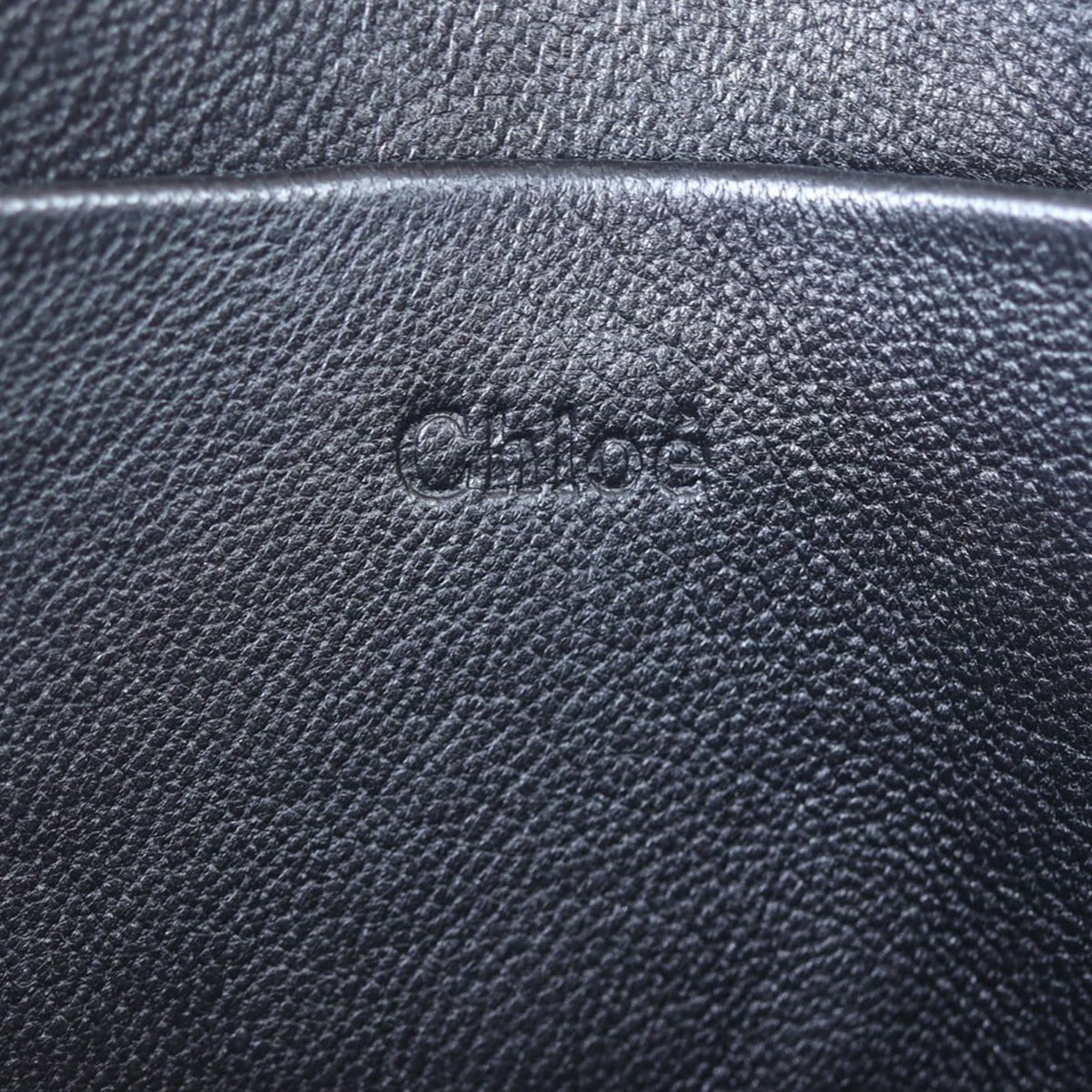 Chloe Nile Minaudiere Bracelet Bag Stamp
