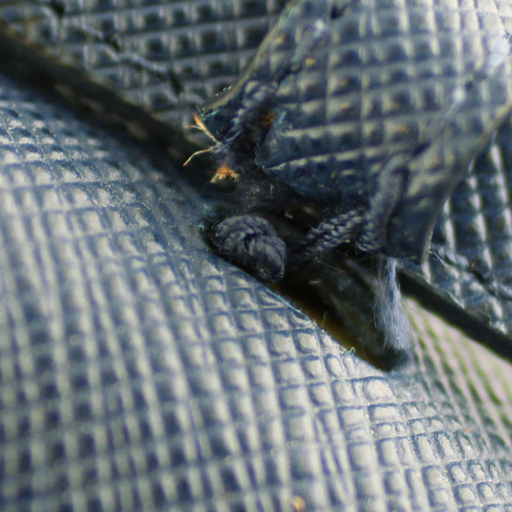 Prada Saffiano Lux Chain Wallet Stitch