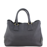 Prada Vitello Daino Bauletto Tote Back