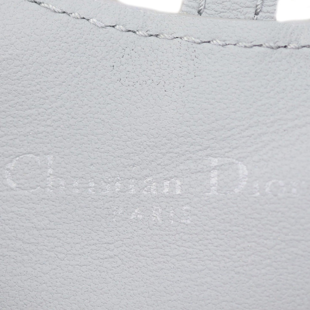 Dior Ultramatte Saddle Pouch Nano Stamp