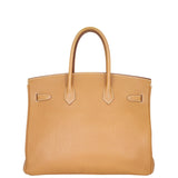 Hermes Birkin 35 Togo Back