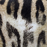 Saint Laurent Classic Medium Kate Tassel Satchel Leopard Wear