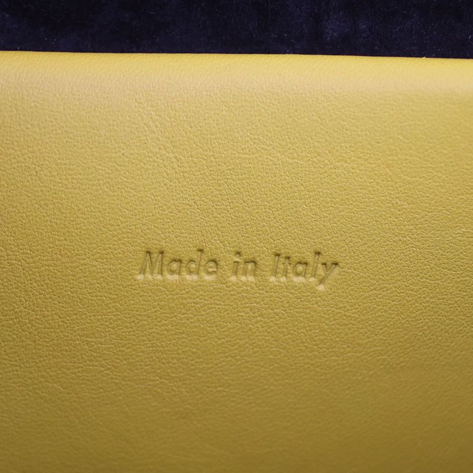 Celine Mini Belt Bag Stamp