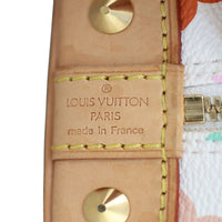 Louis Vuitton Alma PM Multicolore Stamp