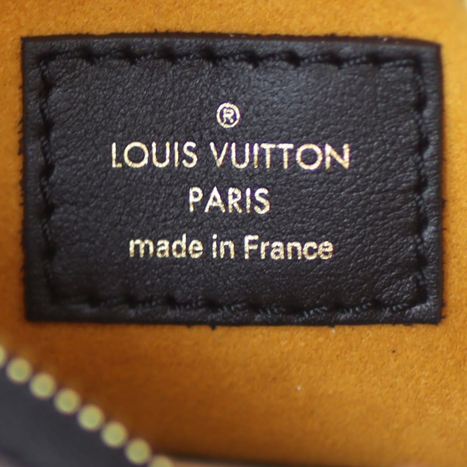 Louis Vuitton NeoNoe Monogram Jungle Stamp