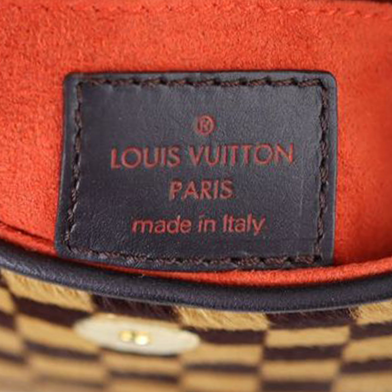 Louis Vuitton Damier Sauvage Gazelle Bag Stamp