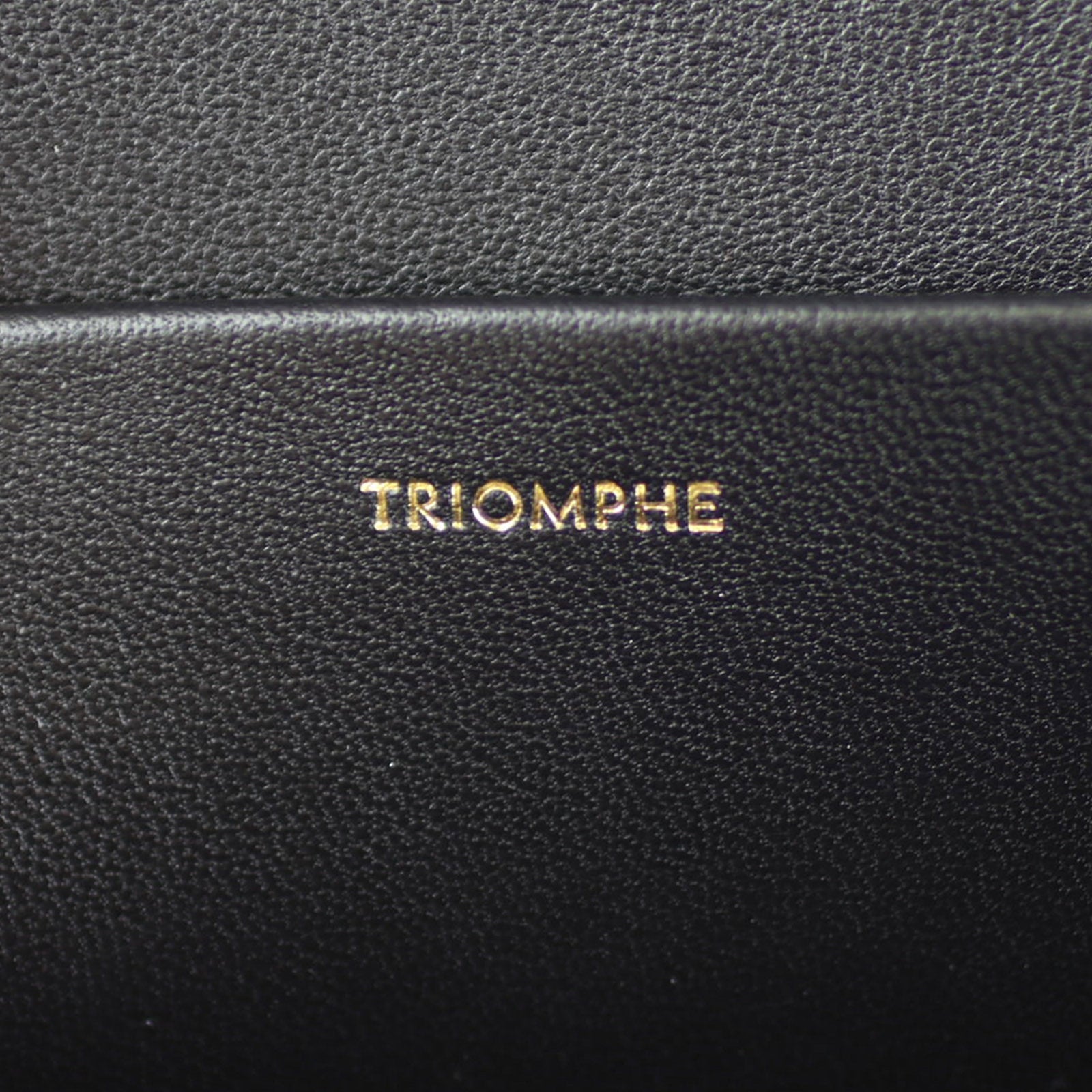 Celine Medium Triomphe Crossbody Stamp