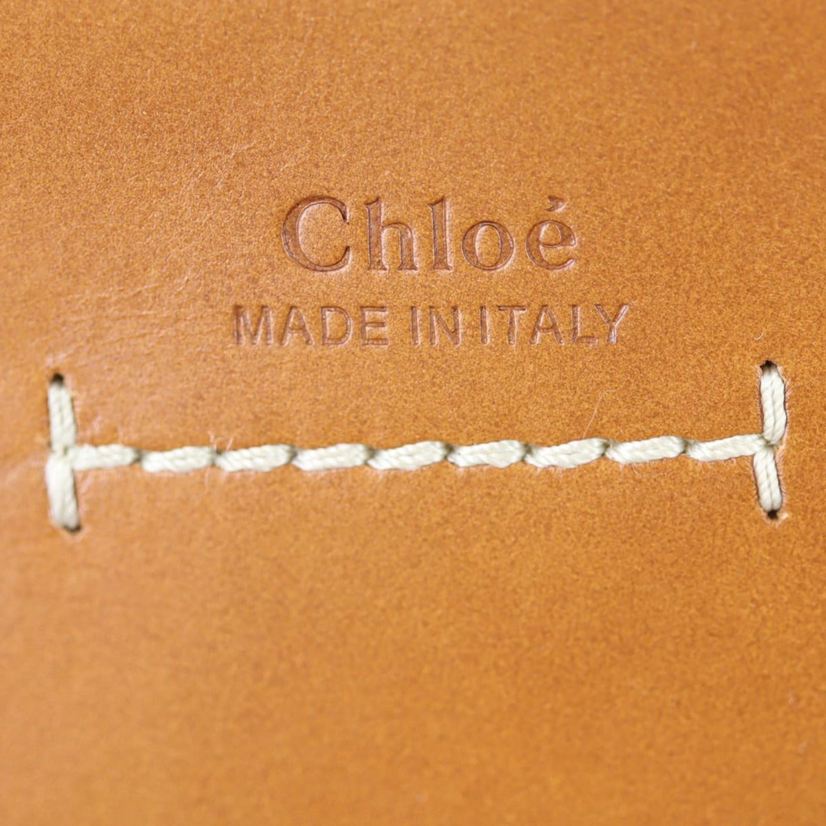 Chloe Darryl Shearling Hobo Medium Stamp
