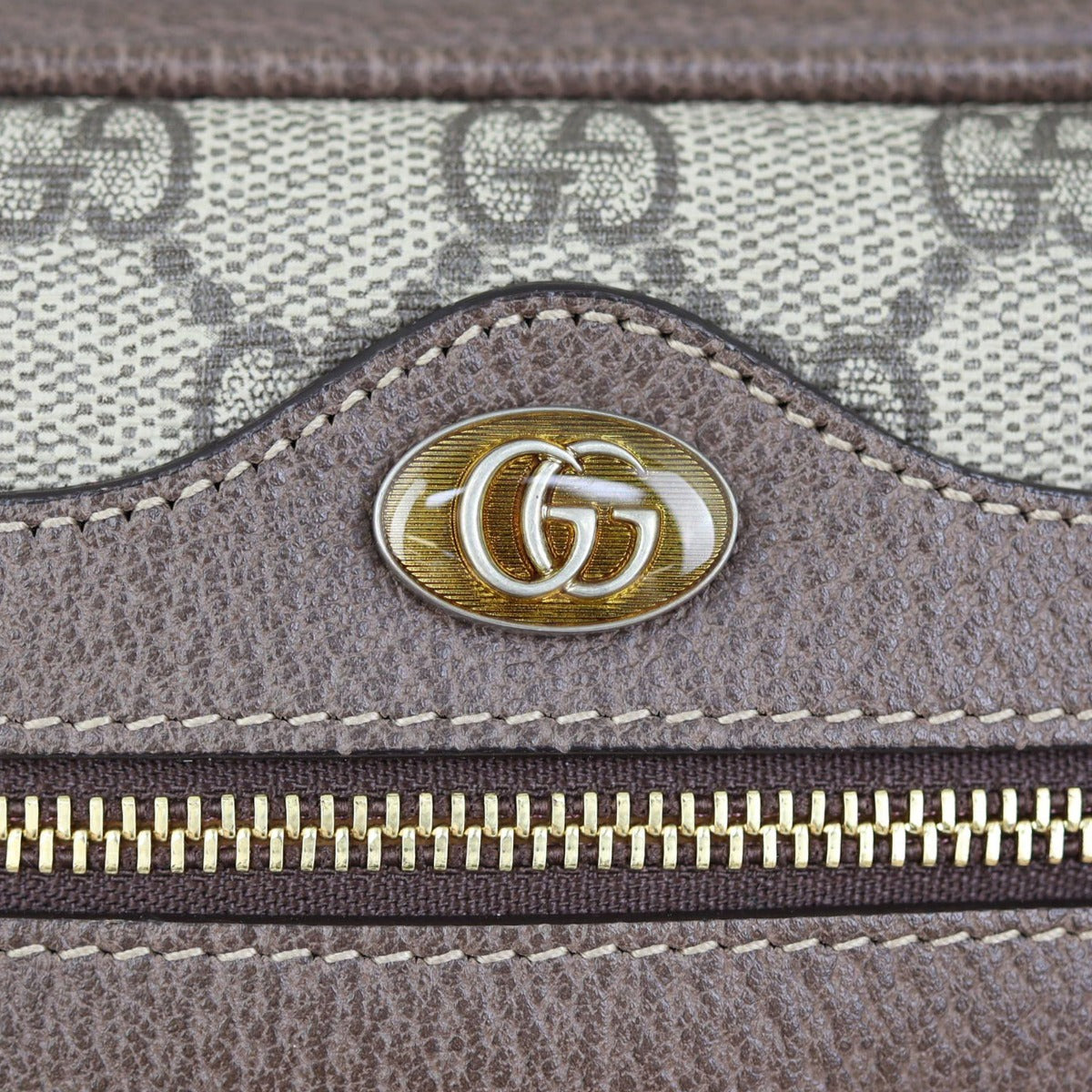 Gucci GG Supreme Ophidia Mini Shoulder Bag Hardware
