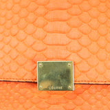Celine Trapeze Medium Python Hardware
