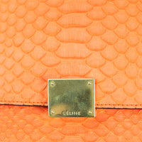 Celine Trapeze Medium Python